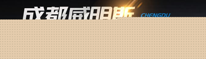 四川發(fā)電機